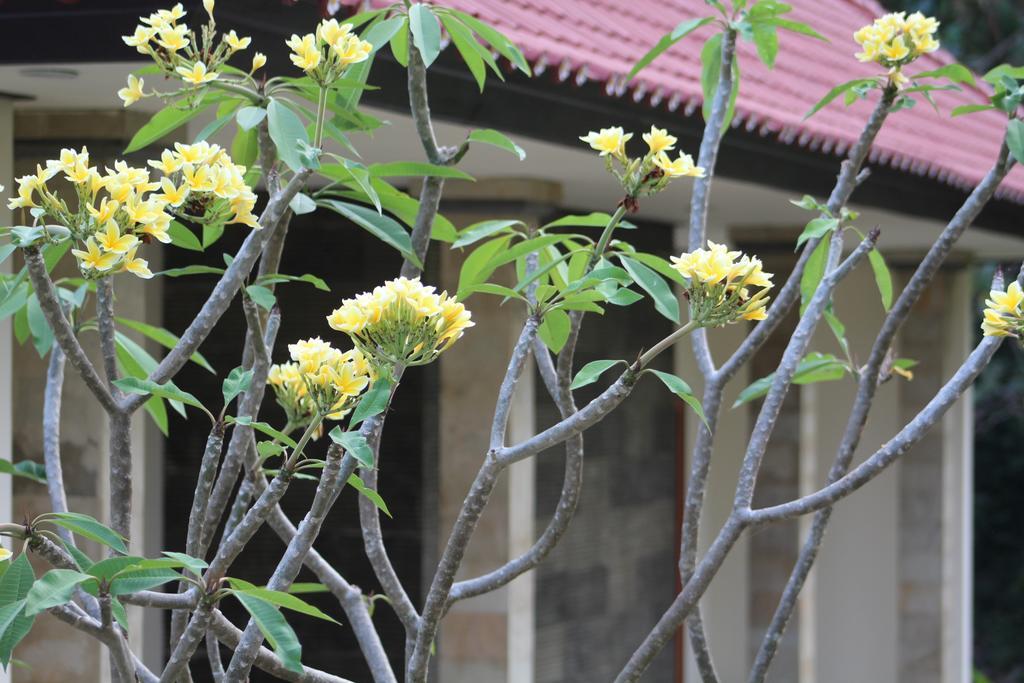 Lala Home Stay Nusa Dua  Dış mekan fotoğraf